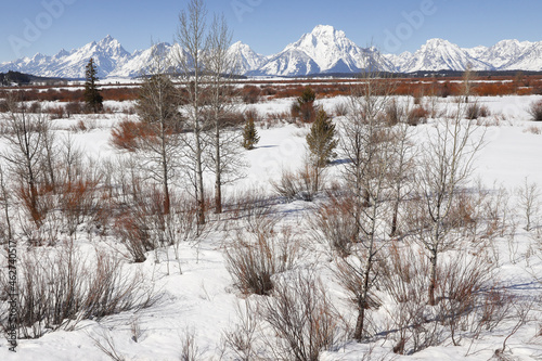 Mount Moran Skillet Glacier Grand Teton National Park Mountain Range Jackson Hole Wyoming Winter Wonderland