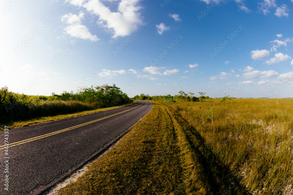 USA, Florida, Empty road in Everglades National Park, Florida USA, Florida, Empty road in Everglades National Park, Florida