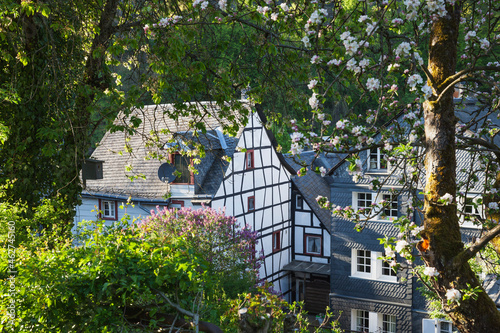 Germany, North Rhine-Westphalia, Eifel, Monschau, spring, apple blossom, Flieder blossom, historic typical half-timbered house and typical house with slates