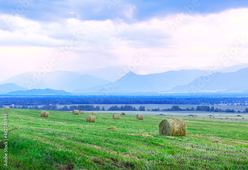 A rural field in the Uymon valley in Altai photo