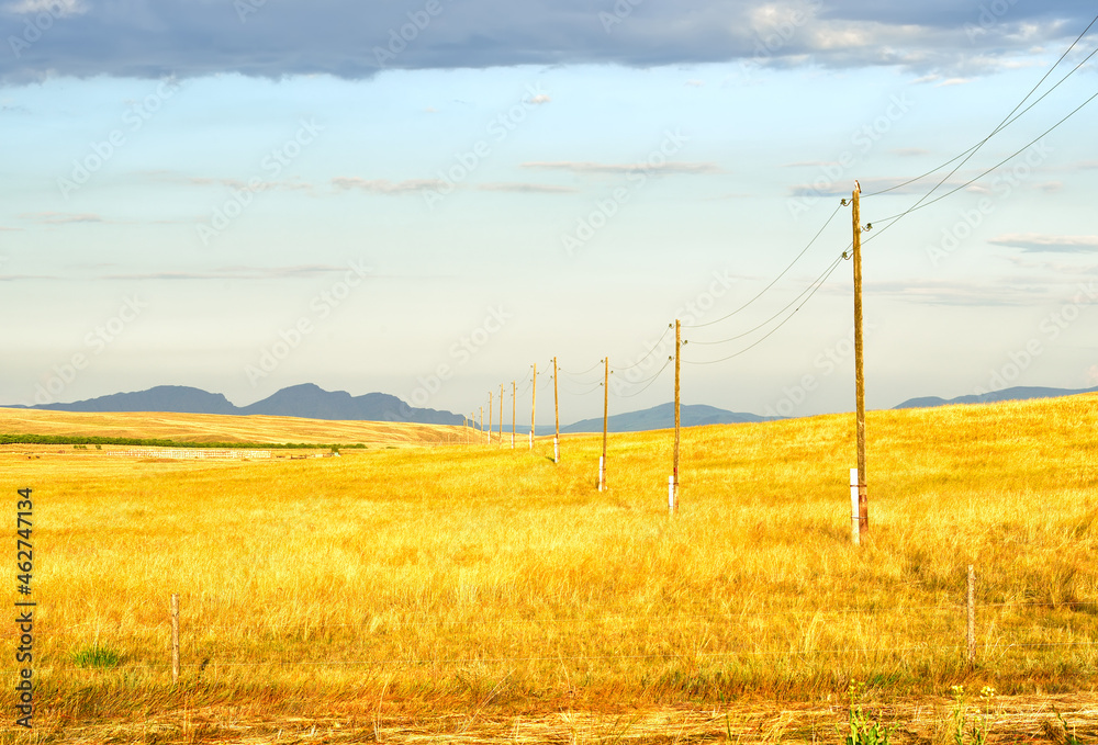 Fototapeta premium Power transmission poles in the steppes of Khakassia