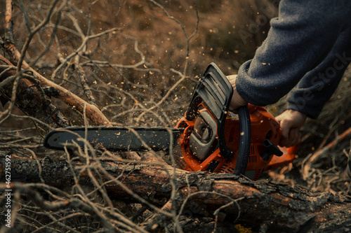 Teenage boy cutting tree trunk with chainsaw in forest photo