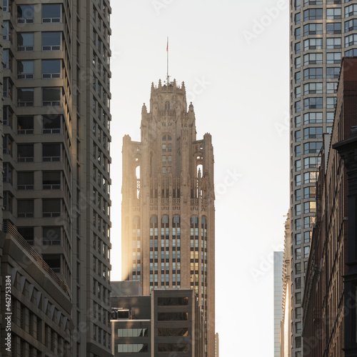 Tribune Tower along with modern building in city during sunrise, Chicago, USA photo