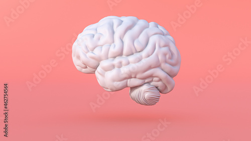 Three dimensional render of human brain photo