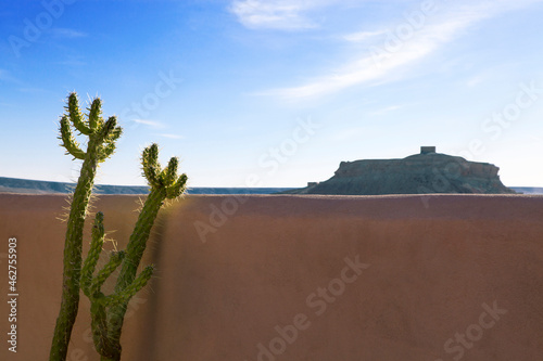 Morocco, Ait-Ben-Haddou, succulent plant in front of loam wall photo