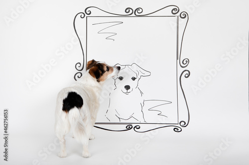 Mongrel standing in front of drawn mirror with image of himself photo