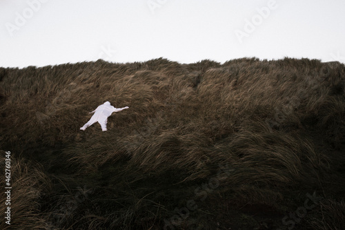 Denmark, Nordjuetland, Man wearing ice bear costume lying in grass