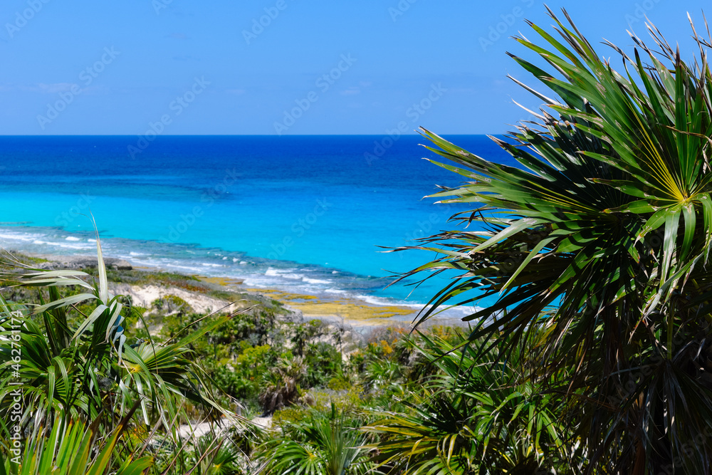 Bahamas Ocean Views 910