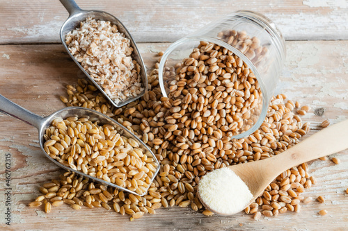 Wheat in form of flour, grains and flakes photo