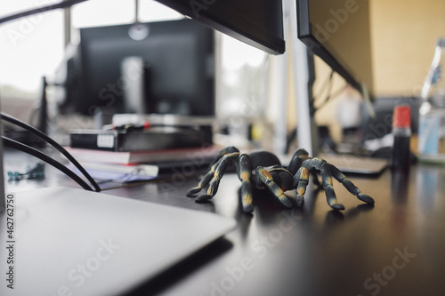 Toy tarantula on a desk photo