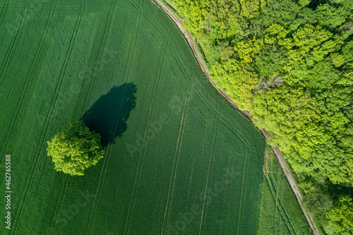 Germany, Bavaria, Aerial view of country road stretching along edge of green countryside field