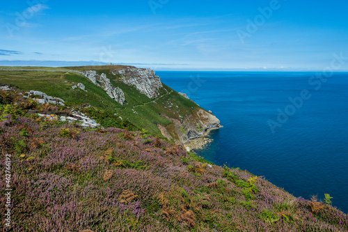 Wallpaper Mural United Kingdom, England, Devon, Island of Lundy, Bristol channel, coastline Torontodigital.ca