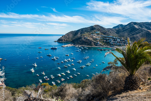 USA, California, Channel islands, Santa Catalina Island, Avalon photo