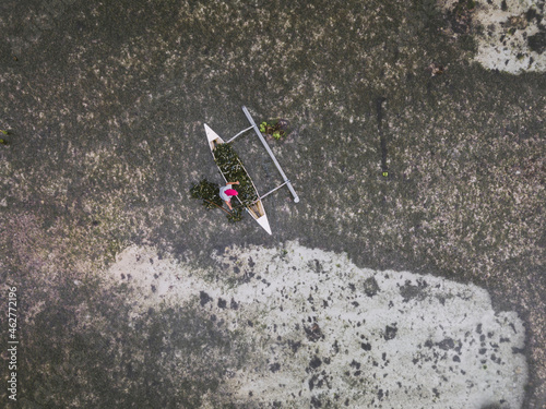 Indonesia, Sumbawa, Kertasari, Worker at seaweed plantation photo