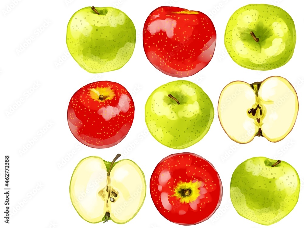 手描き水彩の赤りんごと青りんごのイラスト長方形フレーム 右 Stock Illustration Adobe Stock