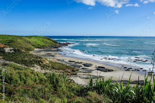 Beautiful coastline in the Arai-Te-Uru Recreation Reserve, Hokianga harbour, Westcoast Northland, North Island, New Zealand photo