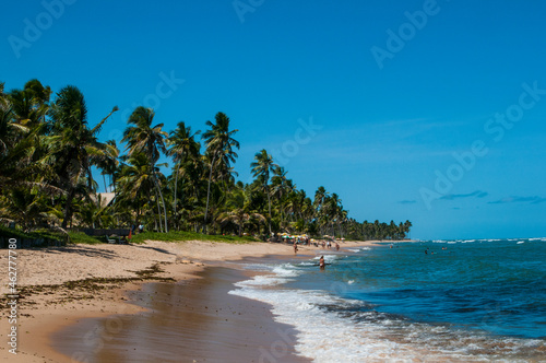 Tropical beach in Praia do Forte, Bahia, Brazil