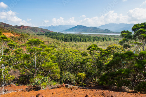 Scenic view of Blue River Provincial Park against sky, Yate, New Caledonia