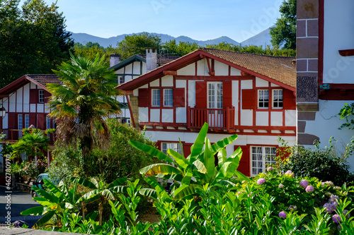 France, Pyrenees-Atlantiques, Ainhoa, Flowering garden plants in front of half-timbered house photo