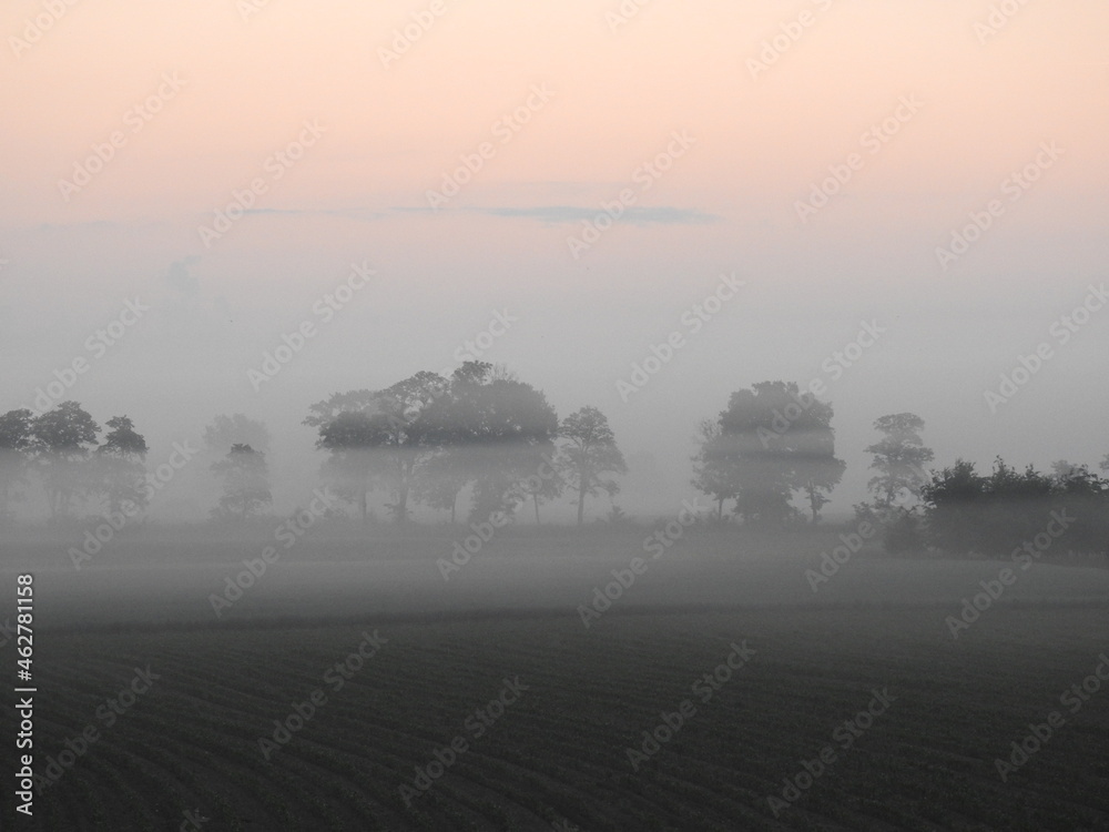 Obraz premium misty morning on the river