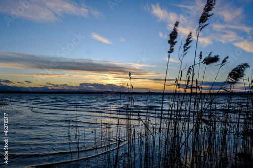 Germany, Bavaria, Sankt Heinrich, Silhouettes of reeds growing on shore of LakeÔøΩStarnbergÔøΩat dusk photo