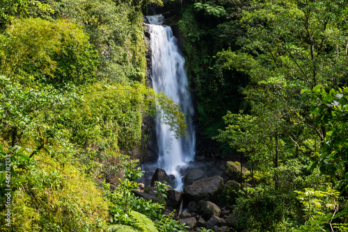 Scenic view of Trafalgar Falls at Morne Trois Pitons National Park, Dominica, Caribbean photo