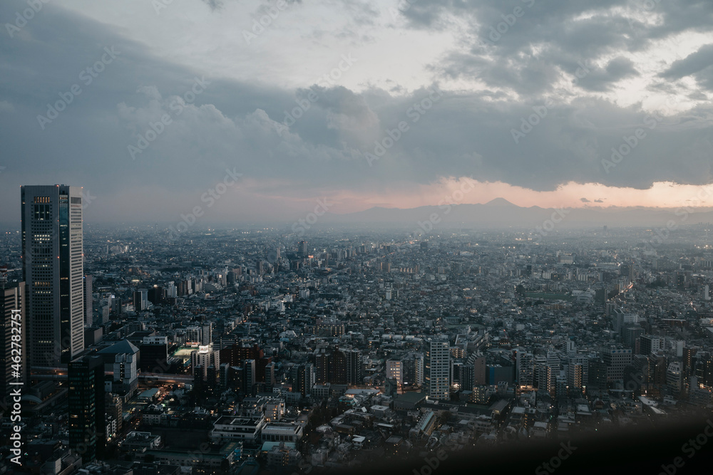 Japan, Tokyo, cityscape as seen from Government Building Japan, Tokyo, cityscape as seen from Government Building