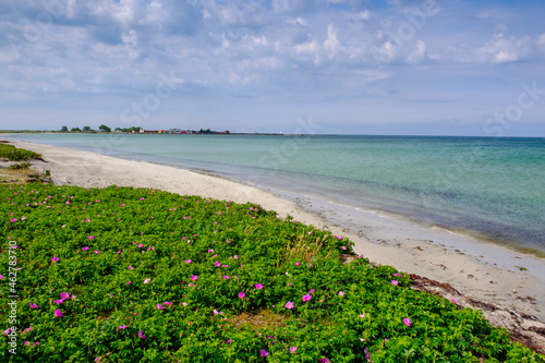 Skanor beach, Falsterbo, Flommen nature reserve, Skane, Sweden photo