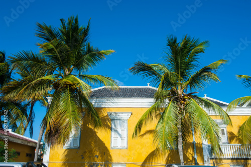 Low angle view of palm trees growing by house against clear blue sky during sunny day, Bonaire, ABC Islands, Caribbean photo