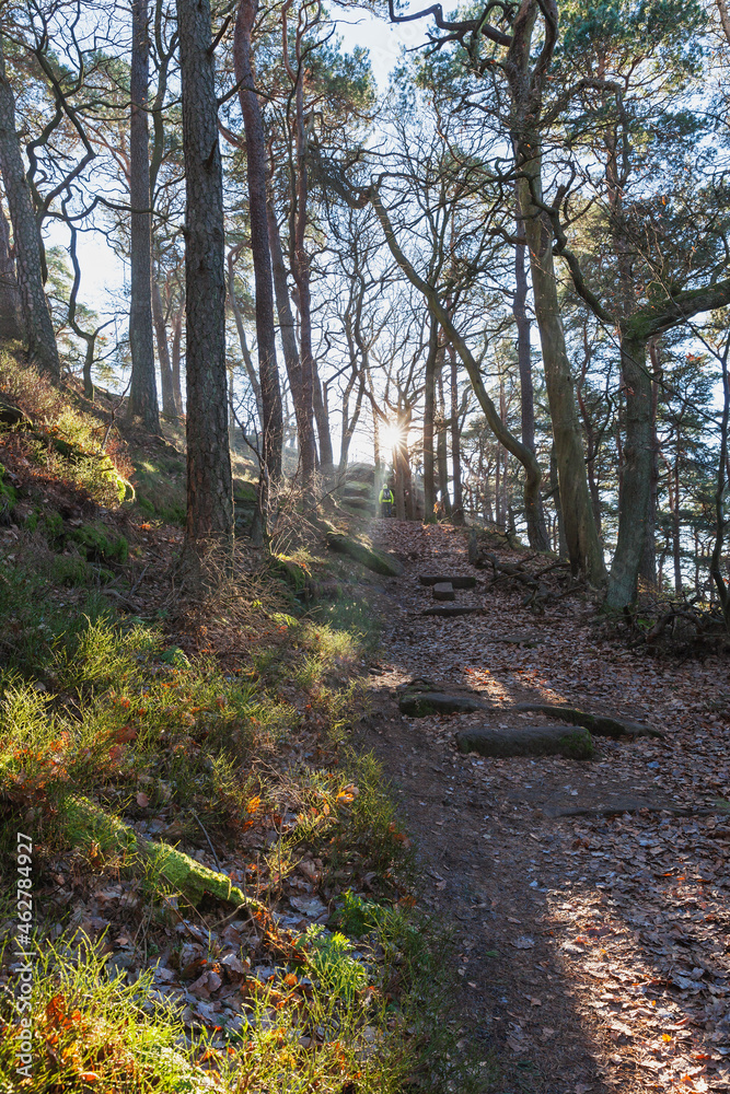 Germany, Rhineland-Palatinate, Footpath in Palatinate Forest leading to Orensfelsen rock formation Germany, Rhineland-Palatinate, Footpath in Palatinate Forest leading to Orensfelsen rock formation