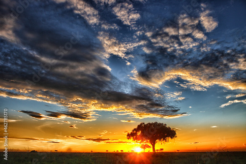 Democratic Republic of Congo, Garamba National Park at dramatic sunset