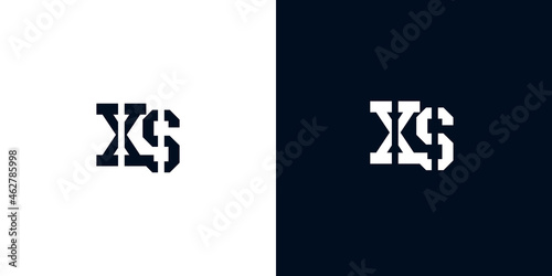 Creative abstract initial letter XS logo.