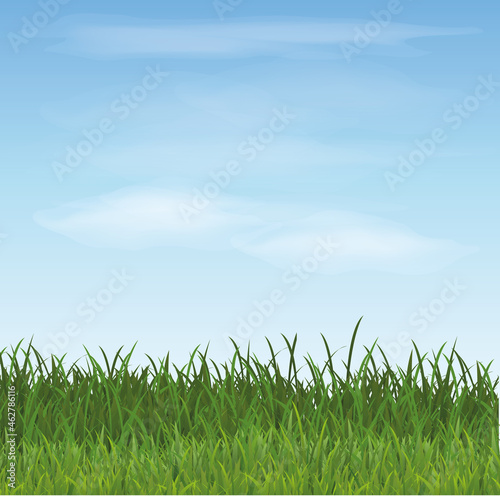 Lush Green Grass Against Soft Blue Sky