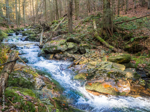 Clear stream flowing in Bavarian Forest photo