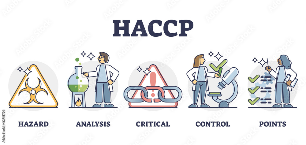 HACCP food safety preventive analysis and control system, outline diagram. Bacteria hazard monitoring and critical hygiene requirement points for safe food production process and preparation. - obrazy, fototapety, plakaty 
