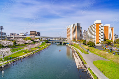 桜咲く大島小松川公園・もみじ大橋から旧中川の眺望（2021年3月）
