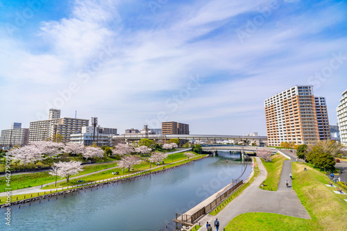 桜咲く大島小松川公園・もみじ大橋から旧中川の眺望（2021年3月） © picture cells