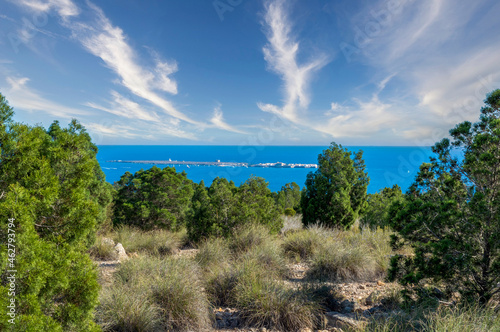 VIEW OF THE ISLAND OF TABARCA BETWEEN TREES AND BUSHES, SANTA POLA, ALICANTE, SPAIN