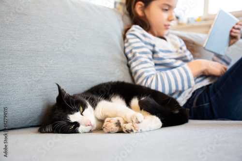 Portrait of cat snoozing on couch with girl using digital tablet in the background