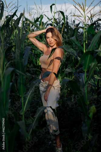 A beautiful model girl in white jacket walks and posing in the thickets of a corn field  holding the stalks with her hands. Beauty and fashion.