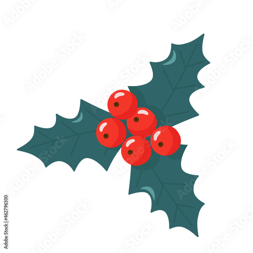 Holly red winter Christmas berries on a branch with green leaves. Vector clipart, isolated illustration on a white background. For a holiday card, banner, design or decor
