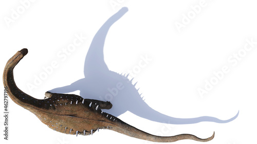 Alamosaurus  dinosaur from the Late Cretaceous period isolated on white background