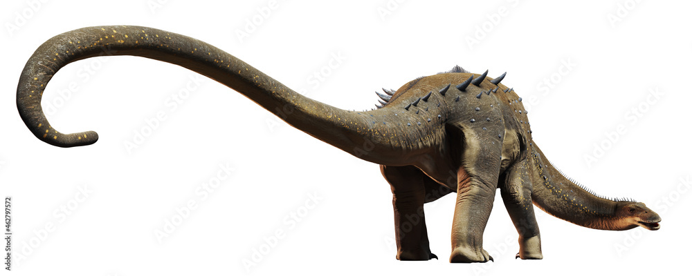 Obraz premium Alamosaurus, dinosaur from the Late Cretaceous period isolated on white background