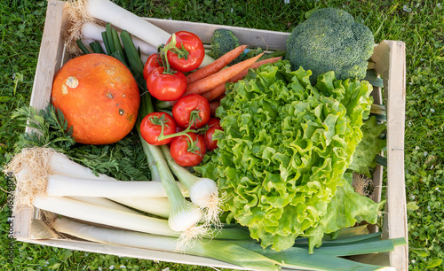 seasonal vegetables in wooden crate