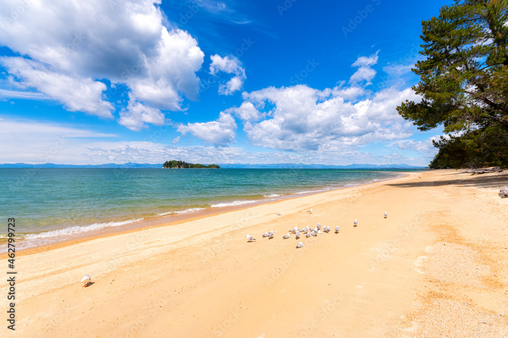 Birds perching on sea shore during sunny day at Abel Tasman Coastal Track, South Island, New Zealand Birds perching on sea shore during sunny day at Abel Tasman Coastal Track, South Island, New Zealand