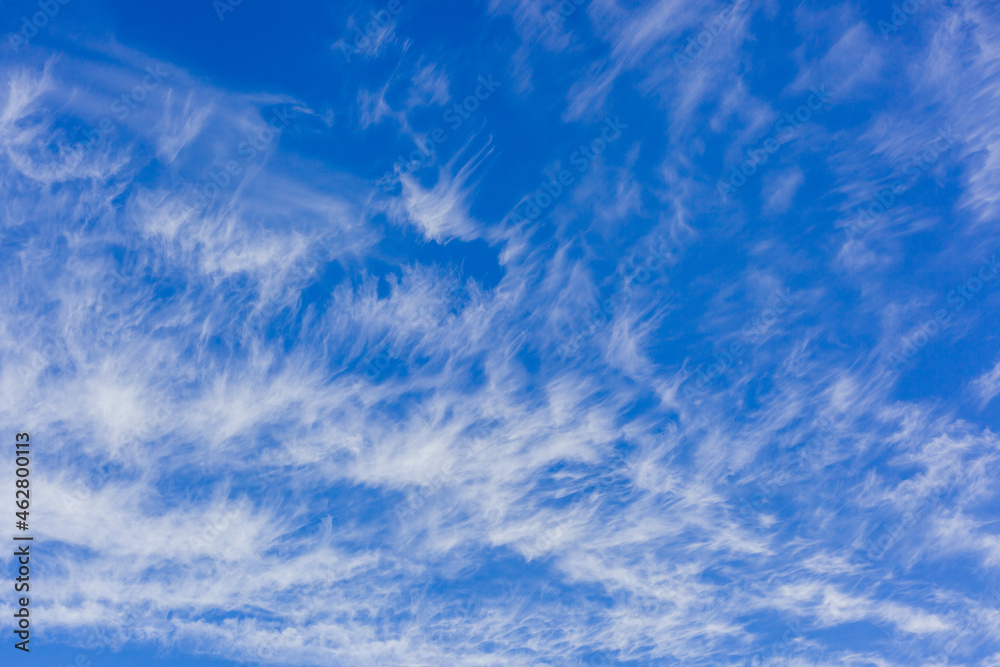 Fototapeta premium blue sky with white feather clouds