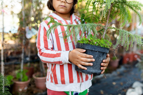 Hands of little boy with holding potted tree at plant nursery