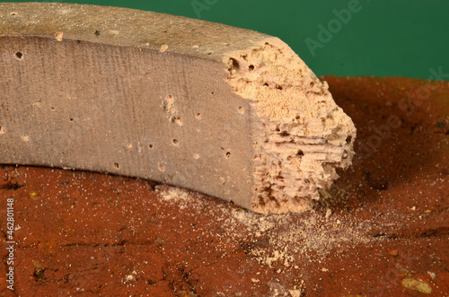 Macrophoto on raw wood decayed by common furniture beetles, ther dust close to the object indicates that there is recent furniture beetle activity photo