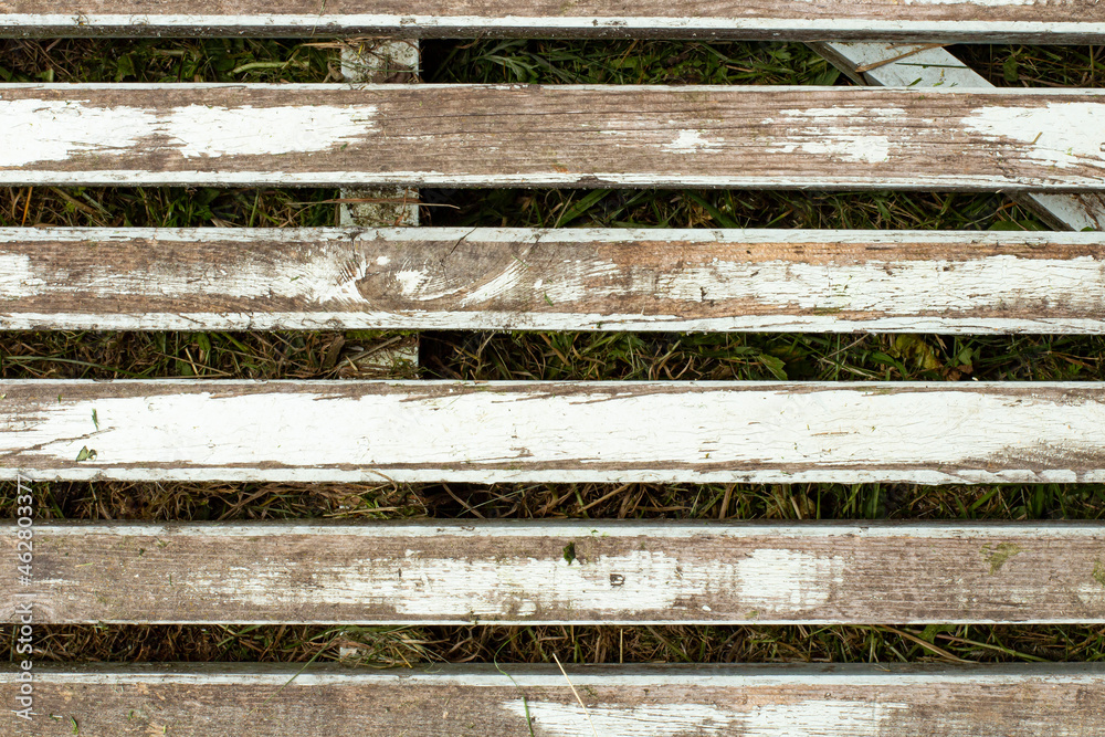 Wooden trellis or flooring on the ground as a background.