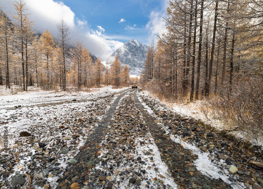 The road is rocky in the mountains, an off-road car is driving in the background. The first snow in the forest of yellow larches in autumn. The road is rocky in the mountains, an off-road car is driving in the background. The first snow in the forest of yellow larches in autumn.